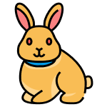 Rabbit Grooming